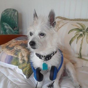 Meet your Posher, Jan